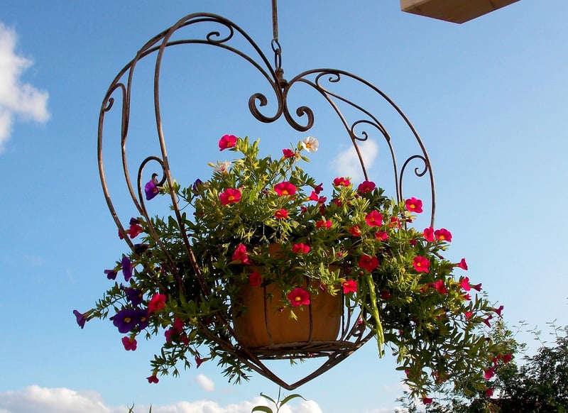 Hanging Gutter Herb Planters